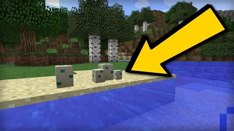 Minecraft - TURTLE EGGS ! Aquatic Update ! Screen Shot Explained ...