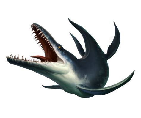 Kronosaurus Illustrations, Royalty-Free Vector Graphics & Clip Art - iStock