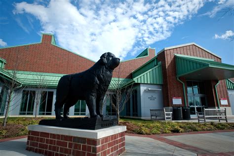 NC State Veterinary Hospital, Centennial Biomedical Campus | NC State ...