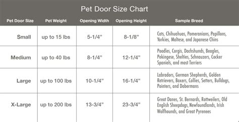 The Benefits of Having an In-Glass Pet Door | Anlin Windows & Doors