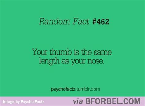 Fun Fact Fridays: Your Thumb is as Long as your Nose! | Fun fact friday, Fun facts, Wtf fun facts