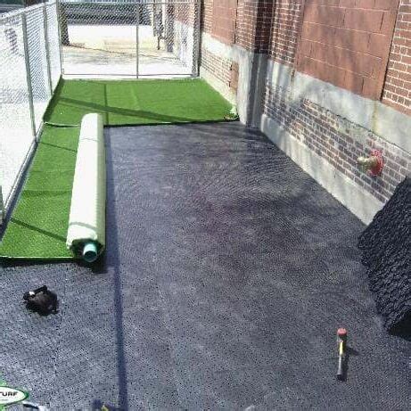 Give Your Pet the Best Play Area with Our Specialized Dog Turf