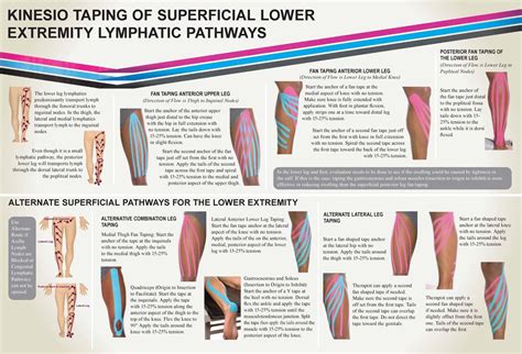 Kinesio Taping Of Superficial Lower Extremity Lymphatic Pathways - Kinesio