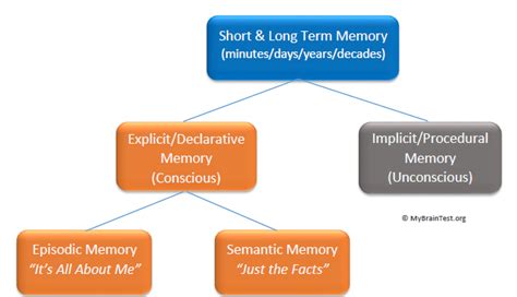 Short Term Memory and Long Term Memory - MemoryHealthCheck