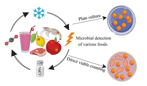 Current Perspectives on Viable but Non-Culturable Foodborne Pathogenic ...