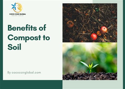 Compost to Soil: What is Composting and Its Impact on Soil Health