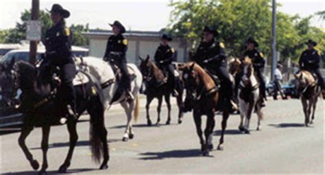 Yolo County Sheriff's Posse - Yolo County Sheriff's Office | Woodland, CA