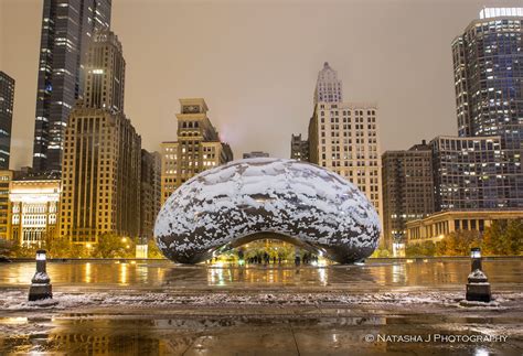 First snow in Chicago!!! Our Bean looks like Amanita today… | Flickr