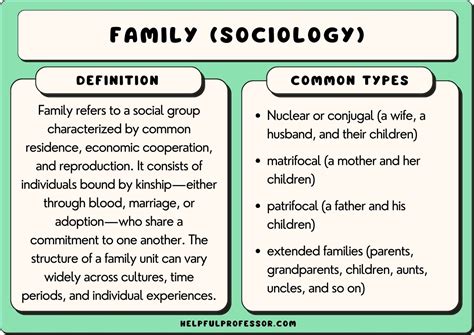 11 Types of Family in Sociology (Family Structure Examples) (2024)