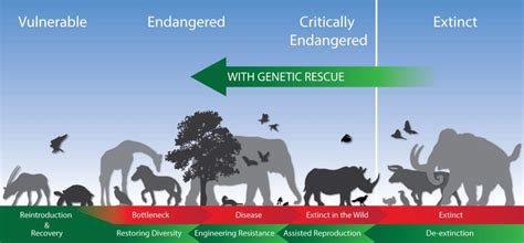 9 Cool Genetic Tools that Could Save Biodiversity - Revive & Restore