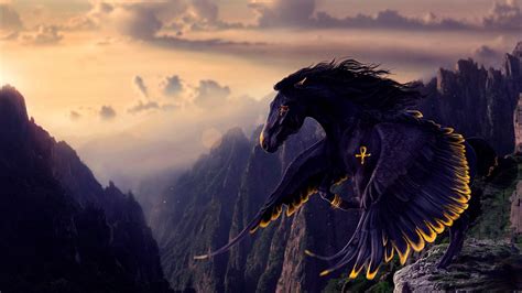 Black Pegasus - Fantasy art wallpaper - backiee