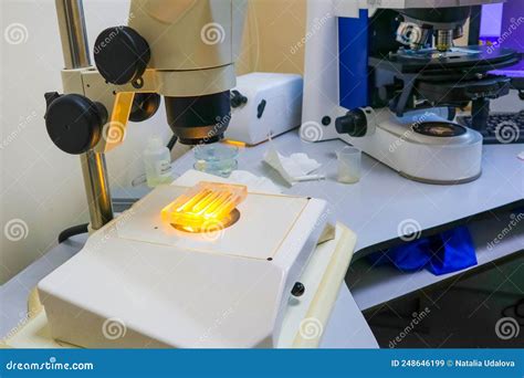 Analysis Under a Microscope. Working in the Laboratory Stock Image ...