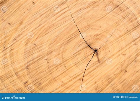 Sawn Wood Texture As Background Stock Photo - Image of pine, hardwood: 93214370