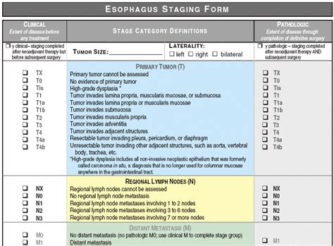 Esophageal Cancer Staging Ajcc 7th Edition