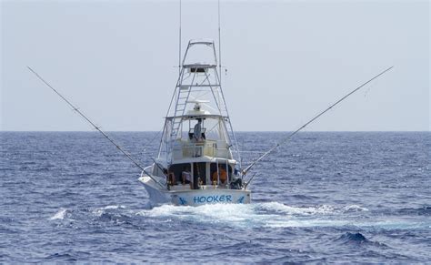 Atlantic Fishing Charter NEWS