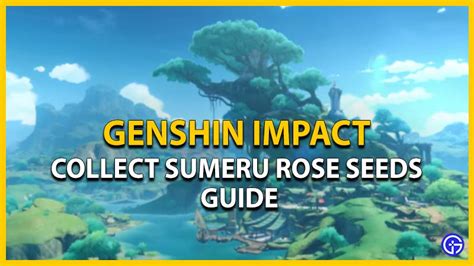 Genshin Impact Collect Sumeru Rose Seeds: How To Complete