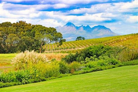 15 top things to do in Stellenbosch in 2022 - STINGY NOMADS