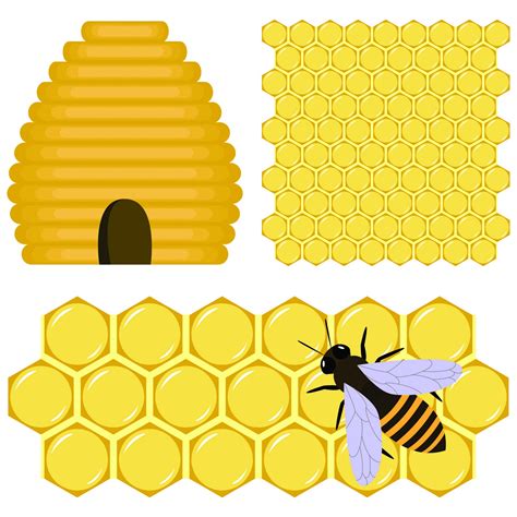 Free Bee Border Cliparts, Download Free Bee Border Cliparts png images ...