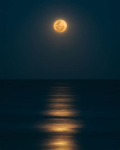 HD wallpaper: body of water under full moon, sea, night, ocean, dark, moonlight | Wallpaper Flare