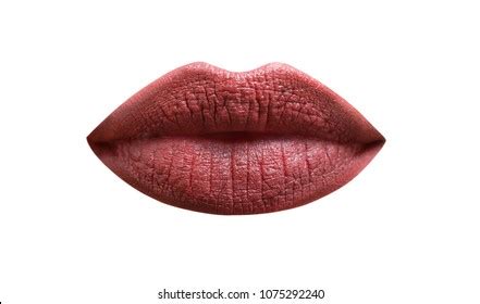 101.002 Lip texture: immagini, foto stock e grafica vettoriale | Shutterstock