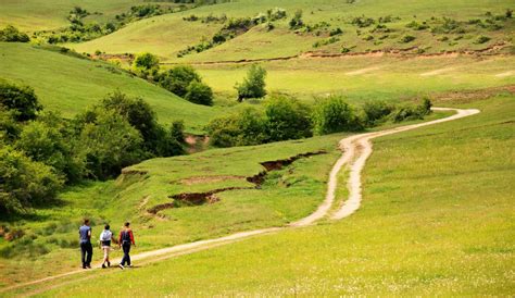 Country walk | ABI Holiday Homes