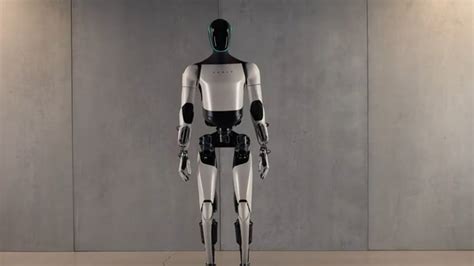 Elon Musk’s humanoid robot Optimus can do squats and boil eggs | Company Business News