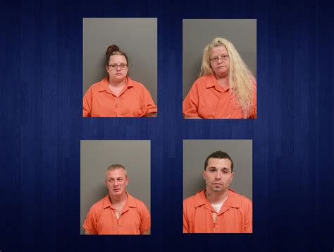 Four people arrested in Lumpkin County drug bust | AccessWDUN.com