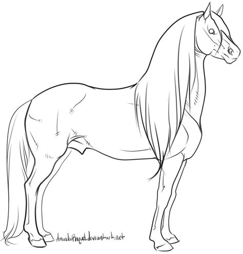 gaited horse lineart - Google Search | Horse sketch, Horse drawings ...