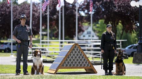 Charming Shelter Dog Story in 'Rescued by Ruby' Trailer from Netflix | FirstShowing.net