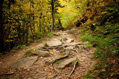 Appalachian Trail | Flickr - Photo Sharing!