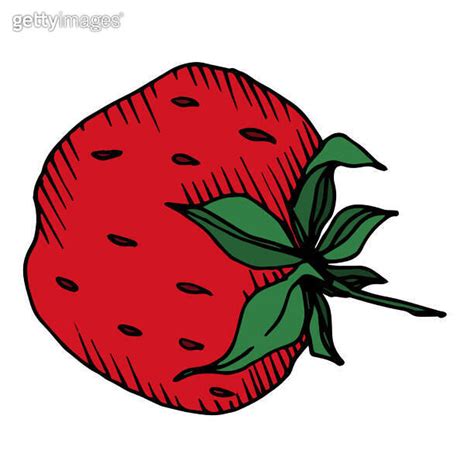 Vector strawberry fresh berry healthy food. Black and white engraved ...