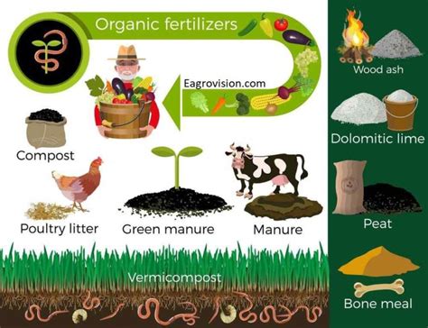 Fertilizer | Manure | Definition-Guide | Types of fertilizers | 2019