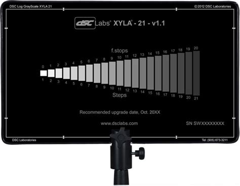 How is Dynamic Range Measured? - Neil Oseman