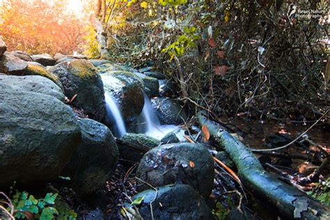 mini wonder ! | a little waterfall between rocks in Tel Dan … | Flickr