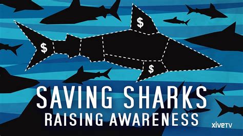 Amazon.com: Watch Saving Sharks: Raising Awareness | Prime Video