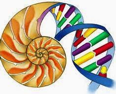 Definition And Rule of Binomial Nomenclature - Taxanomy