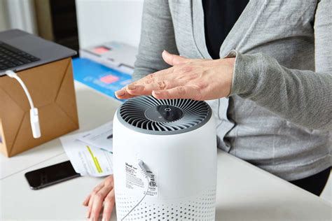 The Best Air Purifiers for Mold Prevention