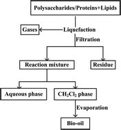 The role of polysaccharides and proteins in bio-oil production during the hydrothermal ...