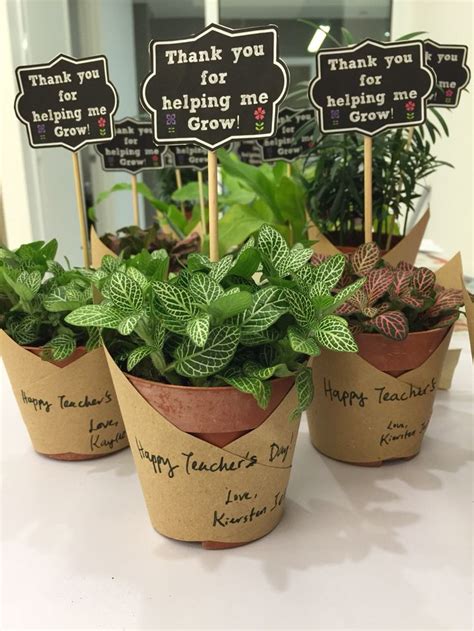 DIY potted plants as a token of appreciation for Teacher's Day | Plant ...