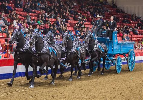 Royal Manitoba Winter Fair in Brandon underway, and it's a show with variety ...