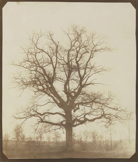 Henry Fox Talbot - The Cloisters at Lacock Abbey - Calotype - 1840s