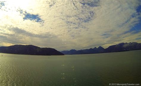 Some of the Wildlife in Glacier Bay | Gaining Life Experience