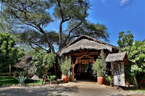 Kibo Camp – Kenya Randu Safaris