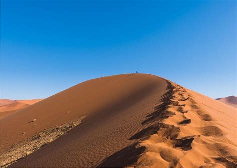 Why You Must Plan a Stay at a Desert Resort in Wahiba Sands, Oman