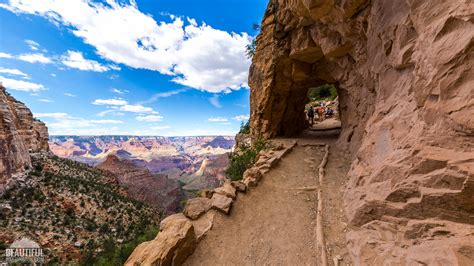 Bright Angel Trail, South Rim 88 | ProArtInc