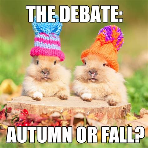 These 12 Fantastic Fall Memes Will Have You Smiling