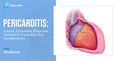 Pericarditis: Causes, Symptoms, Diagnosis and Treatment