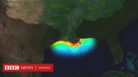 La "zona muerta" del golfo de México: la inmensa área del tamaño de El Salvador que preocupa a ...