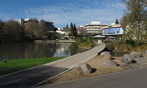 Waikato University Campus, Hamilton, NZ | Record | DigitalNZ