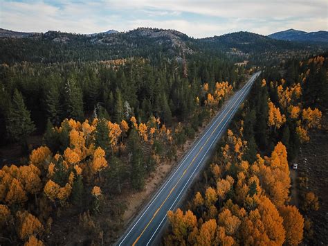 Highway 88 California- Fiona Madden Photography